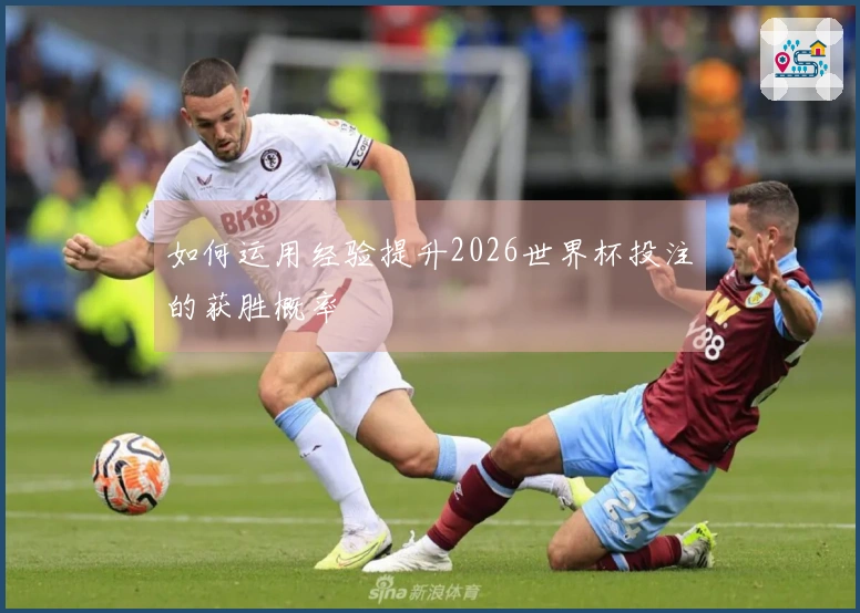 如何运用经验提升2026世界杯投注的获胜概率