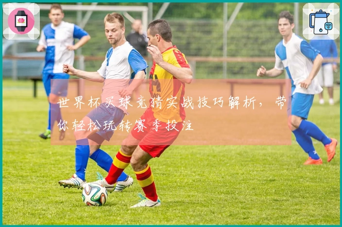世界杯买球竞猜实战技巧解析，带你轻松玩转赛季投注