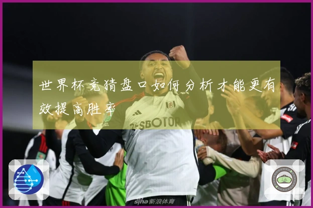 世界杯竞猜盘口如何分析才能更有效提高胜率